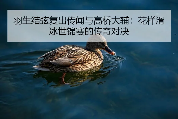 羽生结弦复出传闻与高桥大辅：花样滑冰世锦赛的传奇对决